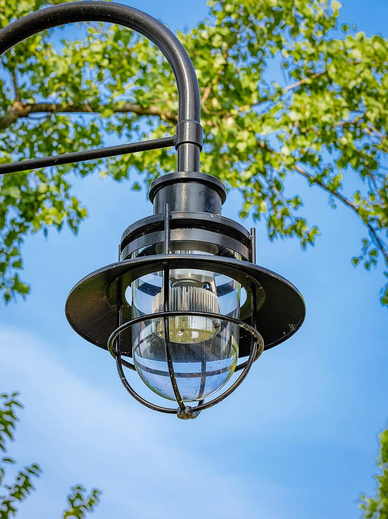 Charles Point Park 04