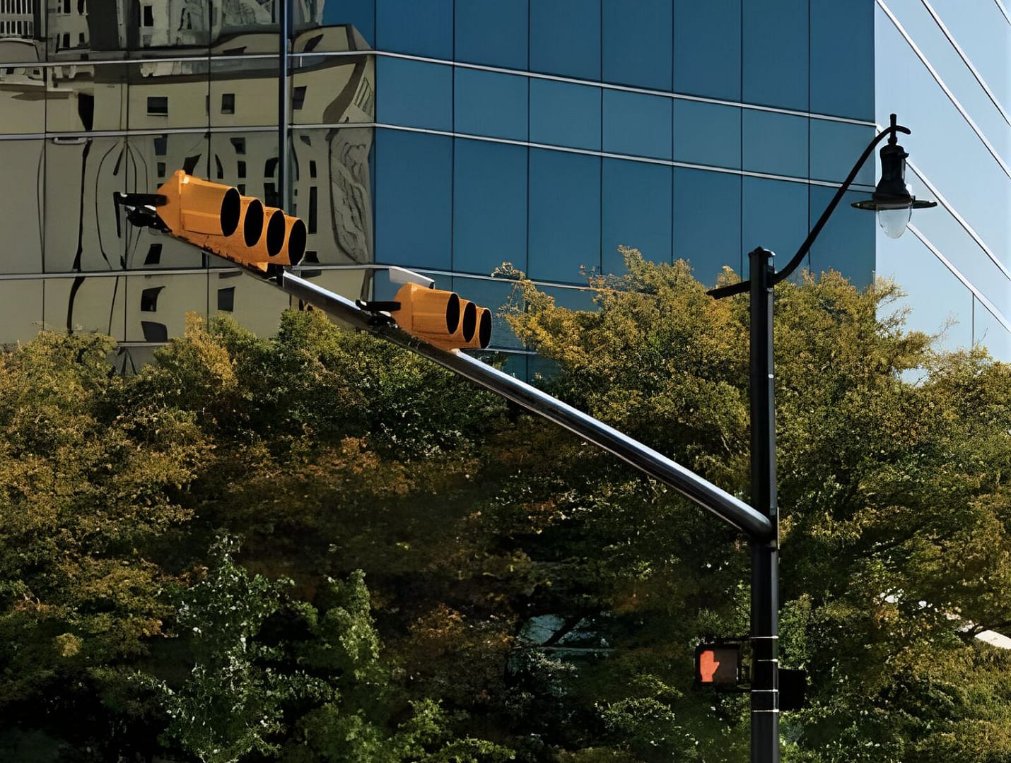 Services | Dave Murphy & Associates